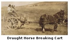 Draught Horse Breaking Cart